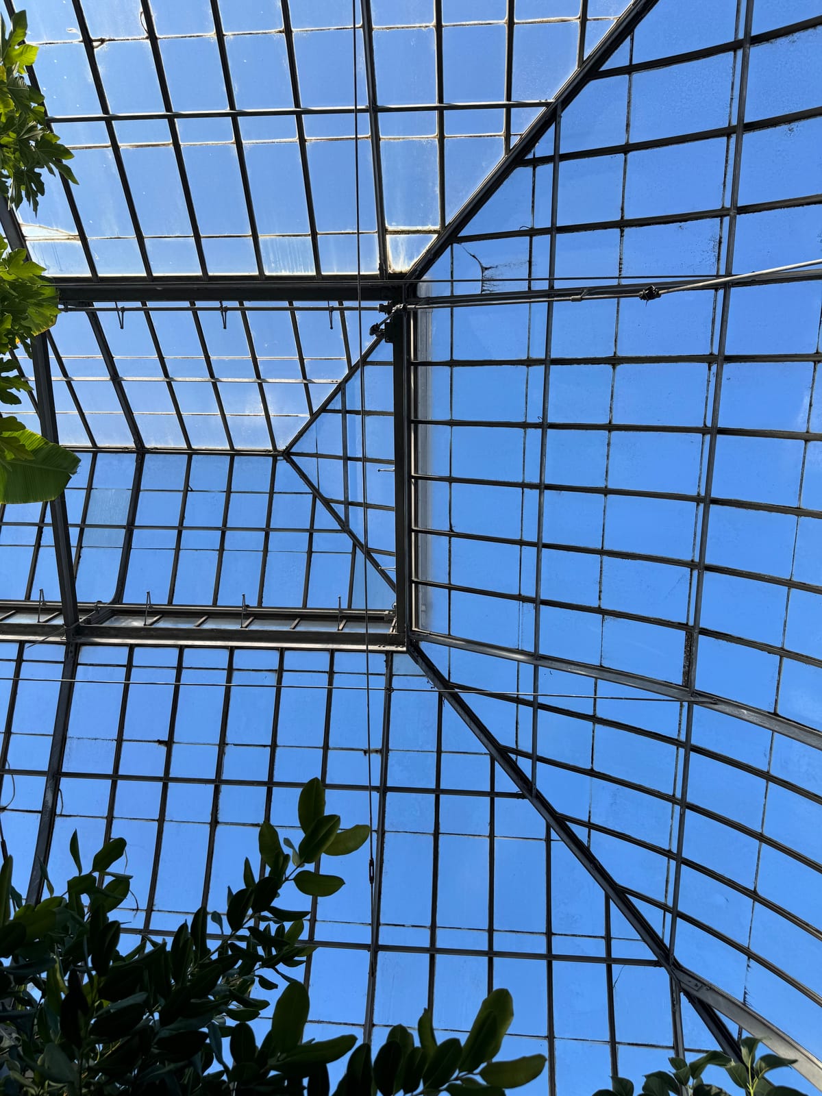 The glass roof conservatory of the greenhouse at Belle Isle. 